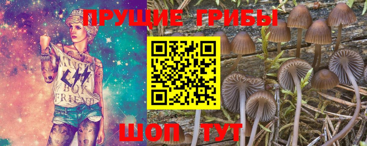 купить  сайты  Галлюциногенные грибы Psilocybine cubensis  Вход с VPN  Йошкар-Ола 